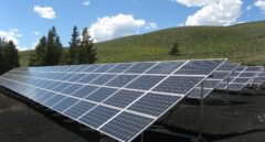 Los proyectos de energía solar en suelo, lugares de protección y restauración de la biodiversidad