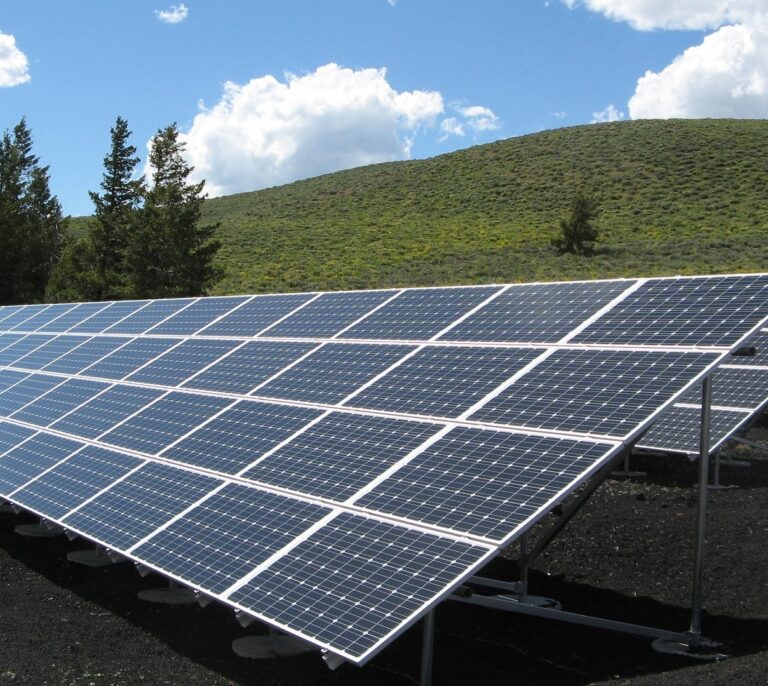 Los proyectos de energía solar en suelo, lugares de protección y restauración de la biodiversidad