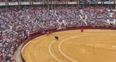 Un toro mata a cornadas a un carnicero de la plaza de Murcia
