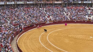 Un toro mata a cornadas a un carnicero de la plaza de Murcia