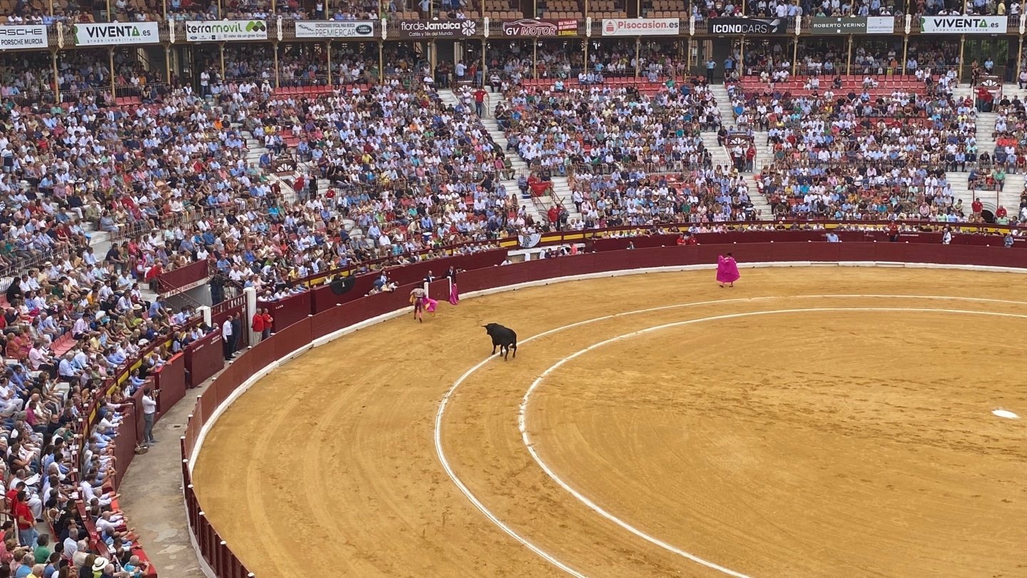 Un toro mata a cornadas a un carnicero de la plaza de Murcia