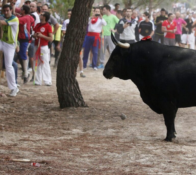 Lilith Verstrynge pide a la Fiscalía que suspenda el Toro de la Vega