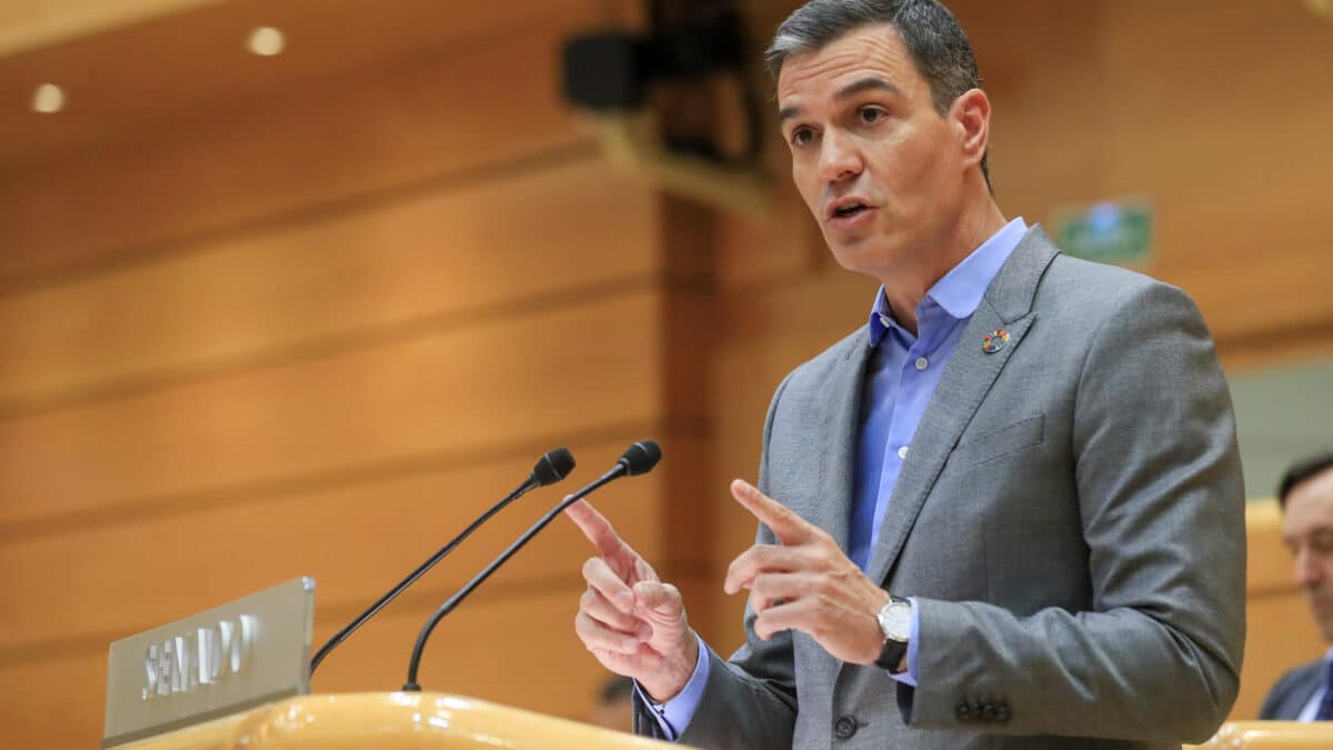 El presidente del Gobierno, Pedro Sánchez, comparece en el pleno del Senado