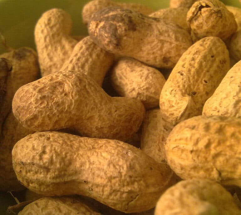 Alerta alimentaria por unos envases de almendras, cacahuetes y 'cocktail'