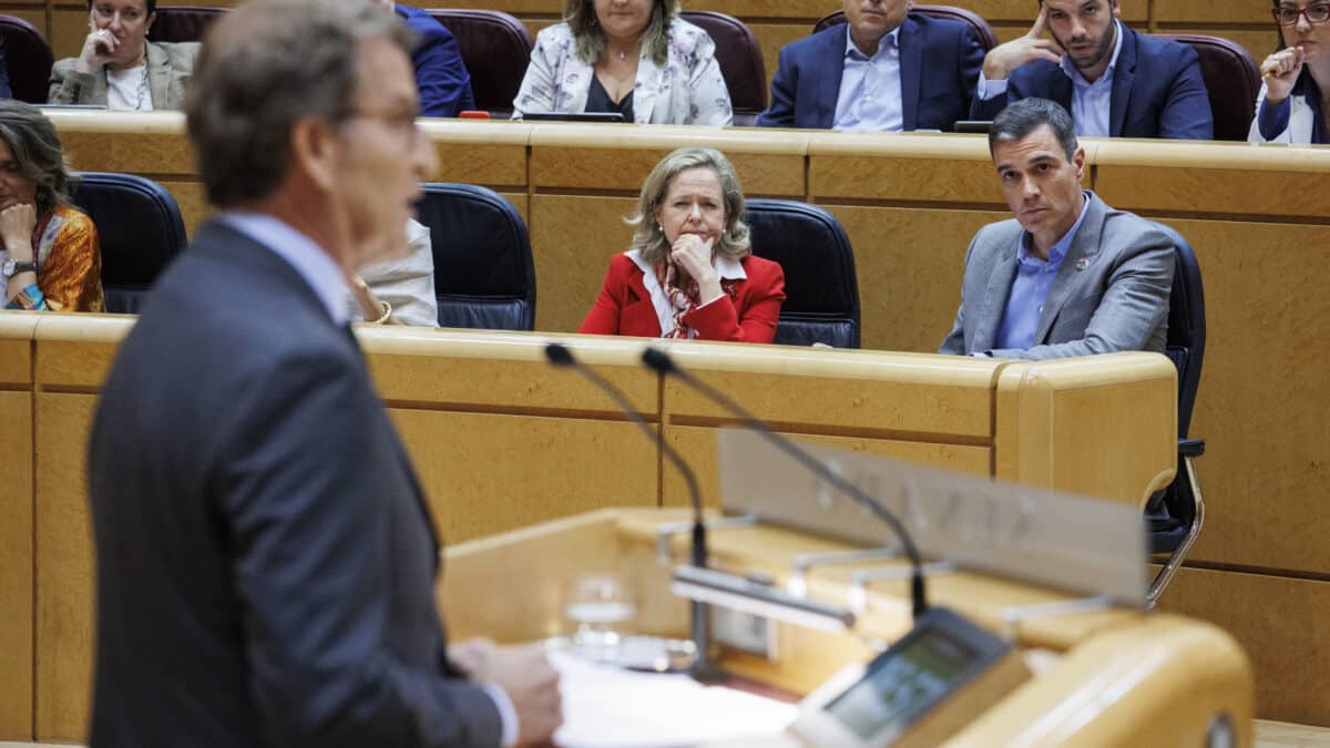 Vox acusa al PP y al PSOE de "fingir que se llevan mal" y convertir el Senado en un "ring de pelea de gallos"