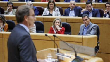 Vídeo en directo: siga el cara a cara entre Sánchez y Feijóo en el Senado