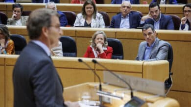 Vox acusa al PP y al PSOE de "fingir que se llevan mal" y convertir el Senado en un "ring de pelea de gallos"