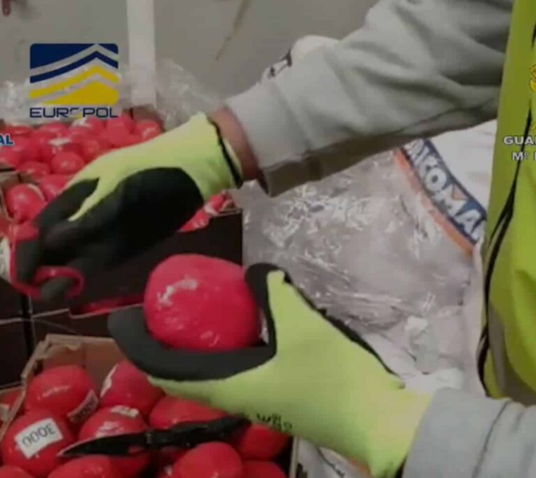 Cae en Dubái el jefe del cartel que introducía droga en España con tomates falsos y policías corruptos