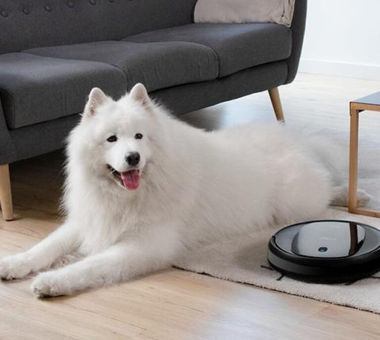 Cecotec rebaja uno de sus mejores robots aspiradores un 60%