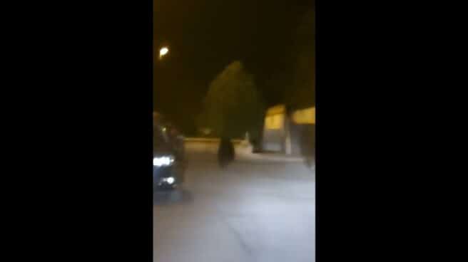 Fotograma del vídeo grabado por un taxista de un oso en el centro de Ponferrada.