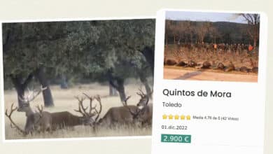 Montería a 2.900 euros el puesto en la finca donde Pedro Sánchez se reúne con sus ministros