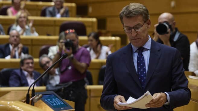 El presidente del Partido Popular (PP), Alberto Núñez Feijóo, interviene en un debate monográfico sobre el plan de ahorro energético del Gobierno, en el Senado