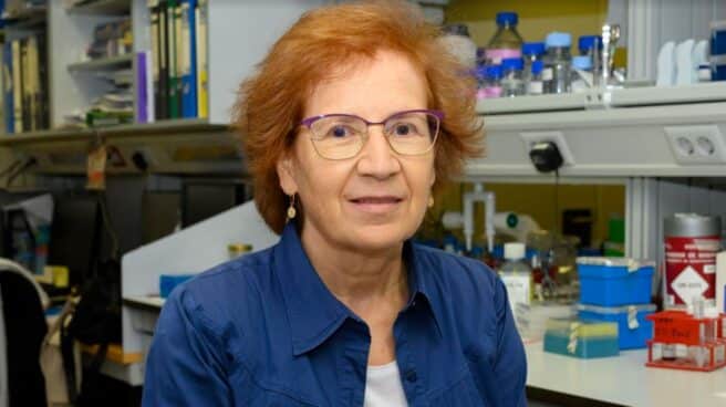 margarita del val cuarta dosis La viróloga Margarita del Val afirma que no hay evidencia sólida para dar una cuarta dosis de la vacuna del Covid.