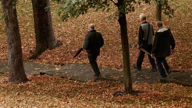 Personas paseando por el bosque con paraguas.