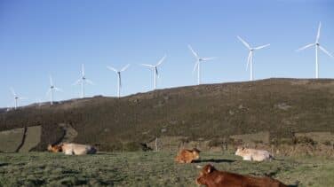 China aboga por la armonía entre el hombre y la naturaleza