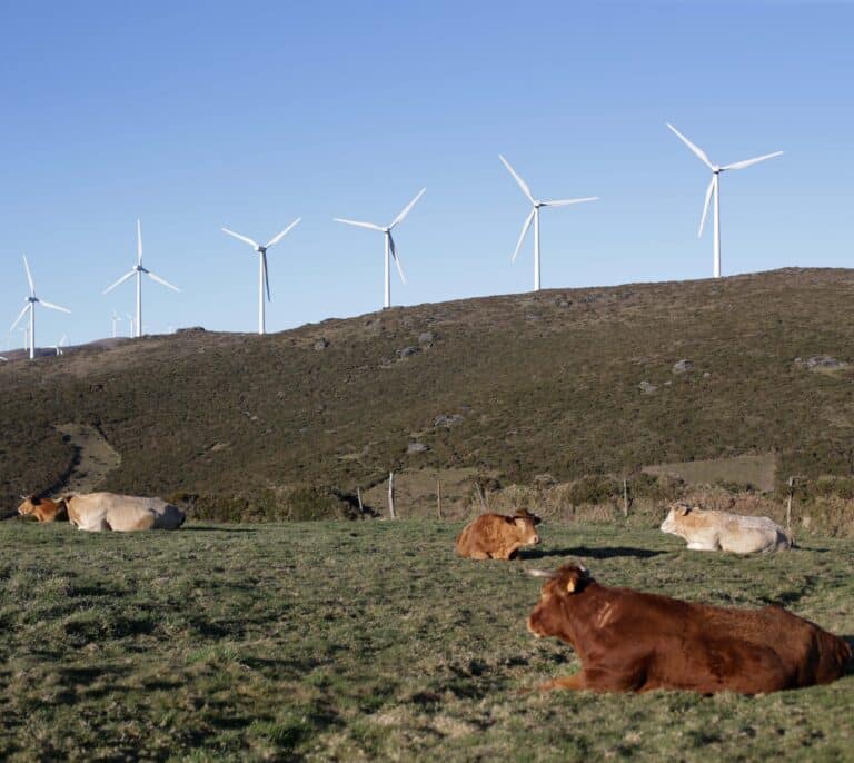 China aboga por la armonía entre el hombre y la naturaleza