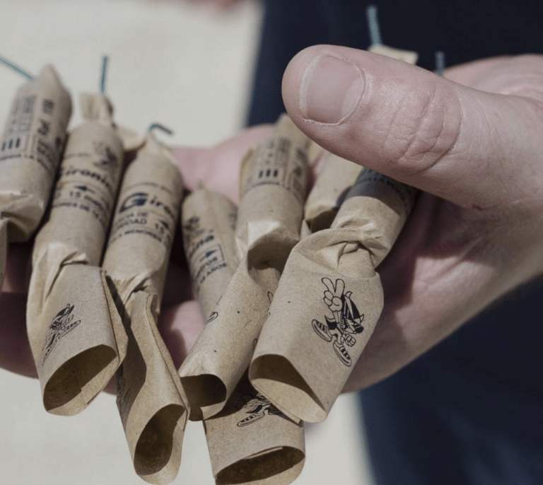 Muere una perra tras precipitarse desde un séptimo piso al asustarse por un petardo
