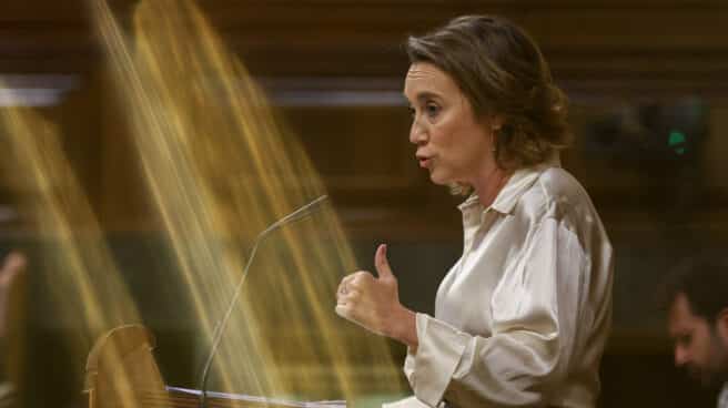 La portavoz parlamentaria del PP en el Congreso, Cuca Gamarra, interviene durante una sesión plenaria en el Congreso de los Diputados La portavoz parlamentaria del PP en el Congreso, Cuca Gamarra, interviene durante una sesión plenaria en el Congreso de los Diputados