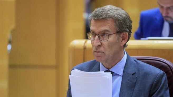 El presidente del PP y senador Alberto Núñez Feijóo, escucha la comparecencia de Pedro Sánchez en el Senado