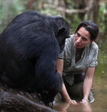 El legado de Jane Goodall, en manos de la gallega Rebeca Atencia