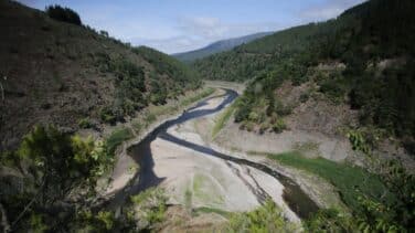 La huerta alerta ante otro recorte del trasvase del Tajo: "El coste energético de regar con agua desalada es inviable"