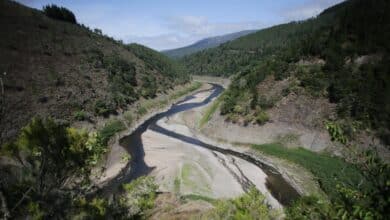 La huerta alerta ante otro recorte del trasvase del Tajo: "El coste energético de regar con agua desalada es inviable"