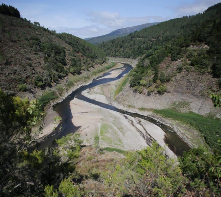 La huerta alerta ante otro recorte del trasvase del Tajo: "El coste energético de regar con agua desalada es inviable"