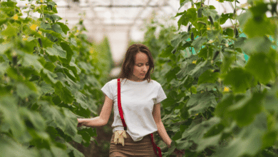 'Fondo Agro Smart' del Santander, un motor para el crecimiento sostenible del sector agroalimentario