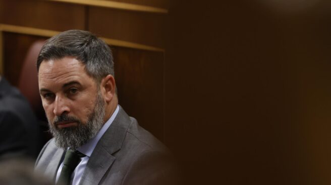 El líder de Vox, Santiago Abascal, en su escaño durante la última sesión plenaria en el Congreso de los Diputados El líder de Vox, Santiago Abascal, en su escaño durante la última sesión plenaria en el Congreso de los Diputados