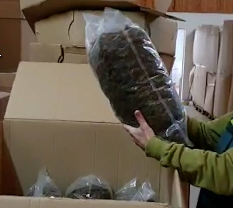 Detenido al hallar 22 toneladas de marihuana en su nave un mes después de incautarse de otras 32 toneladas