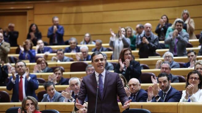 El presidente del Gobierno, Pedro Sánchez, responde al líder del PP, Alberto Núñez Feijóo, durante la sesión de control al Ejecutivo en el Senado este 22 de noviembre de 2022.