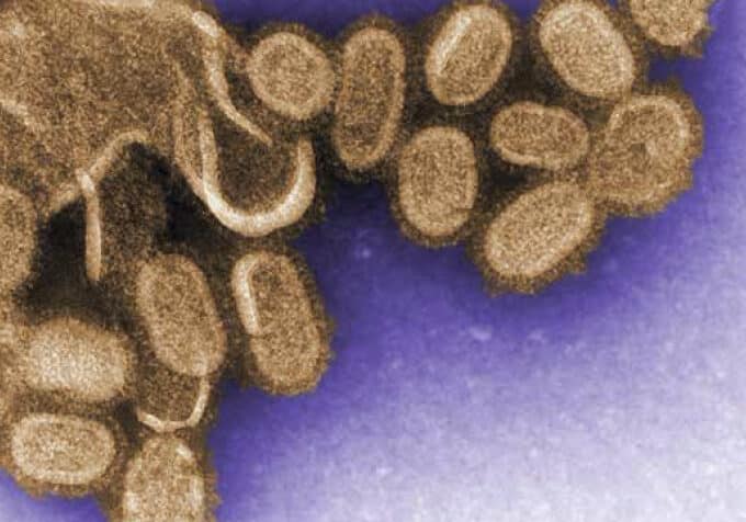 La Gripe A protagonizó a comienzo de siglo la pandemia mundial más reciente que hizo saltar todas las alarmas. En total se estiman 18.000 muertos.