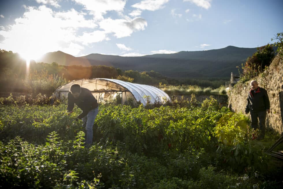 Sergio Fernández junto a un agricultor en una de las huertas que suministra a 'Victofer'