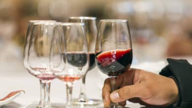 Estos son los mejores vinos del 2023, y su precio, según la Guía Vinos Gourmets