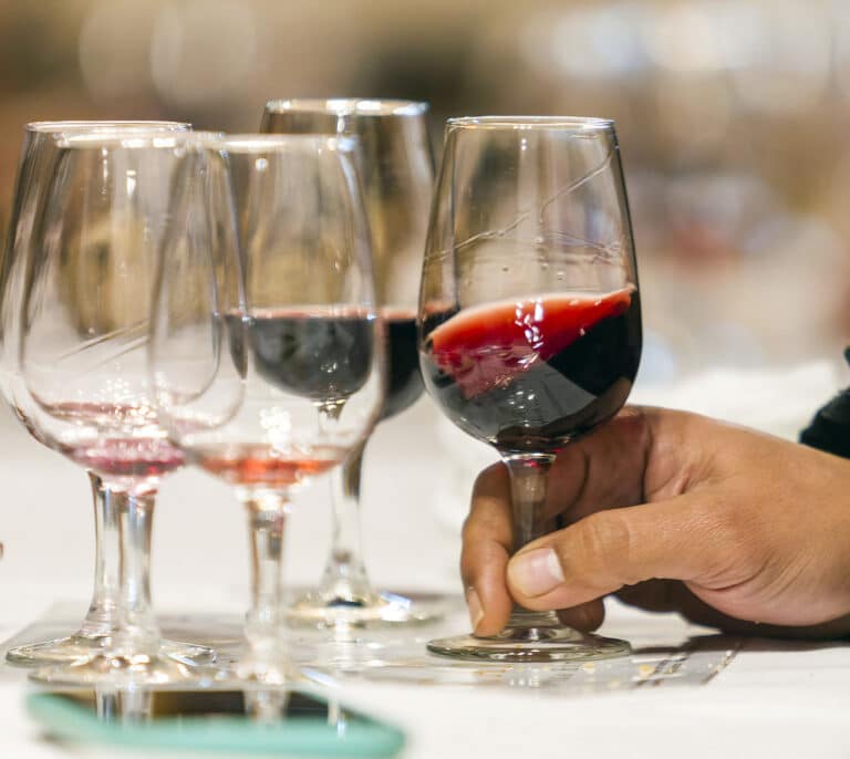 Estos son los mejores vinos del 2023, y su precio, según la Guía Vinos Gourmets