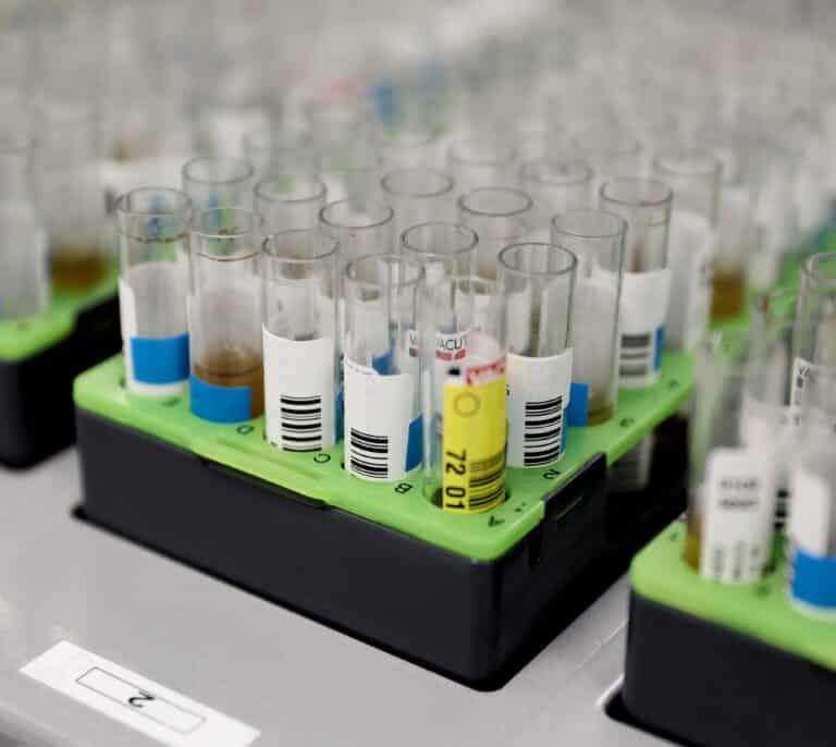 La OMS renombra la viruela del mono como 'mpox' para evitar "racismo"