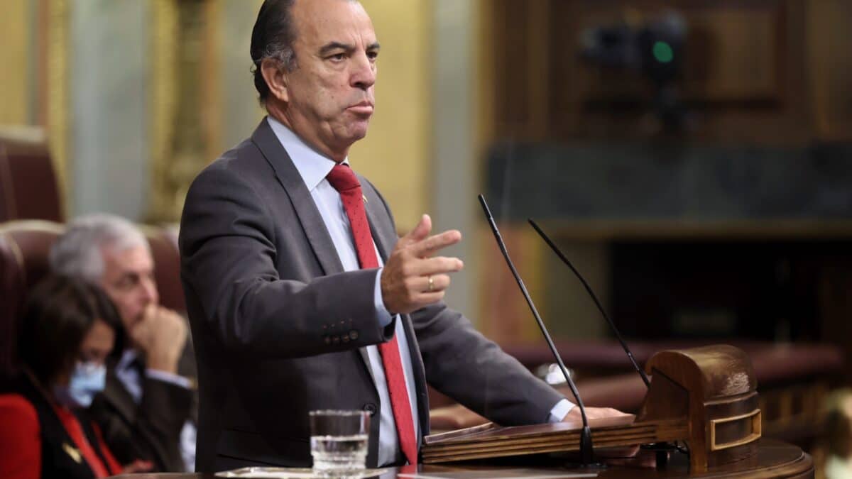 Carlos García Adanero, en el Congreso.