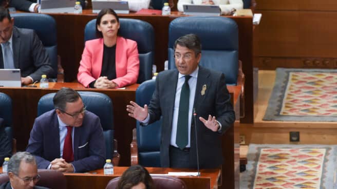 El PP califica como un "fracaso" la manifestación en defensa de la sanidad pública: "El 99% de madrileños no la han apoyado" El portavoz del PP en la Asamblea de Madrid, Pedro Muñoz Abrines, interviene en una sesión plenaria en la Asamblea de Madrid