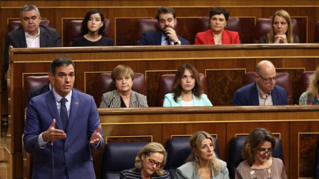 Sánchez, en la sesión de control. Sánchez, en la sesión de control.