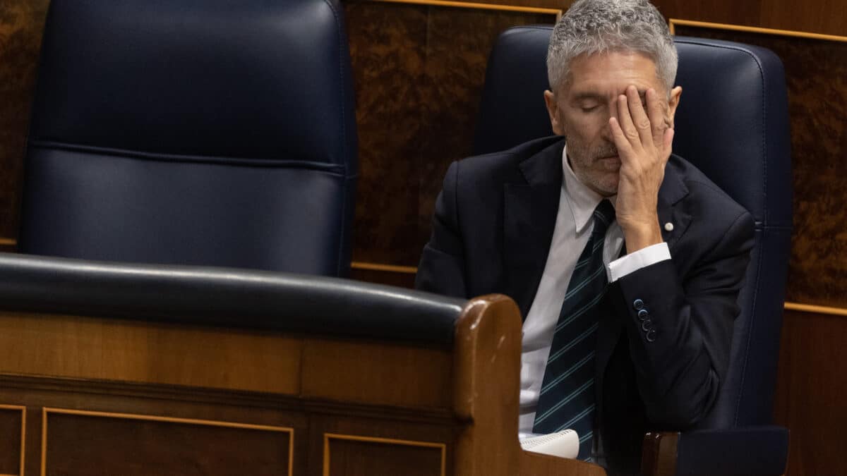 El ministro del Interior, Fernando Grande-Marlaska, en el Congreso.