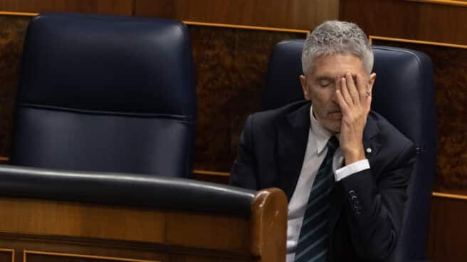 El ministro del Interior, Fernando Grande-Marlaska, en el Congreso.