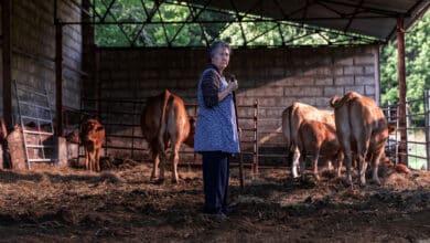 ‘As bestas’, el thriller rural gallego con el mejor cine de Rodrigo Sorogoyen