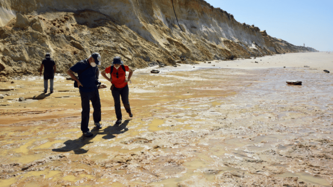 Una investigación revela nuevos datos sobre las pisadas de homínidos en Doñana