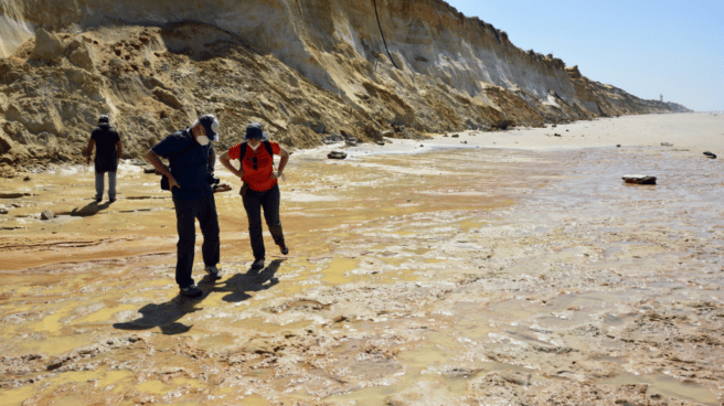 Una investigación revela nuevos datos sobre las pisadas de homínidos en Doñana Una investigación revela nuevos datos sobre las pisadas de homínidos en Doñana