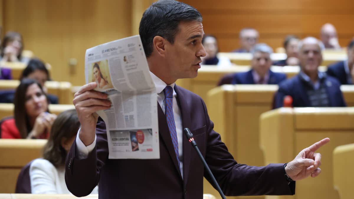 MADRID, 22/11/2022.- El presidente del Gobierno, Pedro Sánchez, interviene en el pleno del Senado en Madrid este martes. EFE/Kiko Huesca