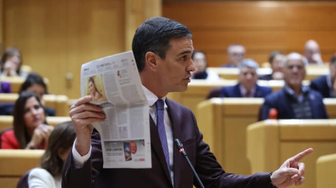 MADRID, 22/11/2022.- El presidente del Gobierno, Pedro Sánchez, interviene en el pleno del Senado en Madrid este martes. EFE/Kiko Huesca