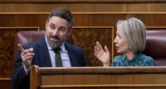 Vox aplaza el anuncio de candidatos con Cañizares como mejor situada contra Page