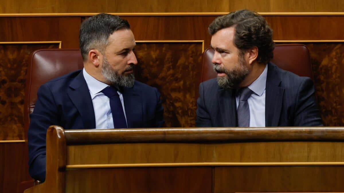 El presidente de Vox, Santiago Abascal, e Iván Espinosa de los Monteros, portavoz en el Congreso de los Diputados, dialogan en un pleno en las Cortes