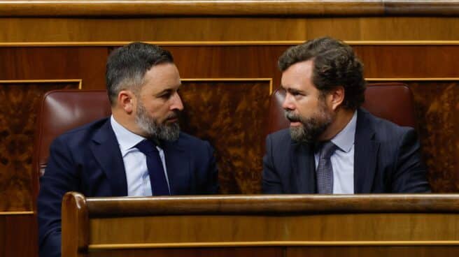 El presidente de Vox, Santiago Abascal, e Iván Espinosa de los Monteros, portavoz en el Congreso de los Diputados, dialogan en un pleno en las Cortes El presidente de Vox, Santiago Abascal, e Iván Espinosa de los Monteros, portavoz en el Congreso de los Diputados, dialogan en un pleno en las Cortes