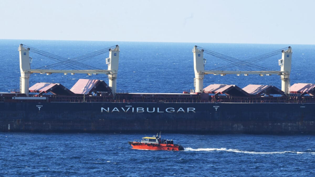 Un buque de la segunda caravana de barcos que transportan granos desde Ucrania llega al estrecho del Bósforo en Estambul